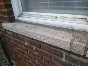 How to Mouse Proof Your Home Before Spring Arrives