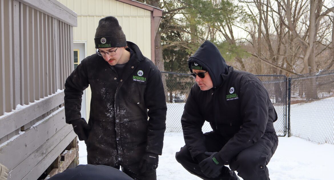 How to Protect Your Home From Wildlife During Winter