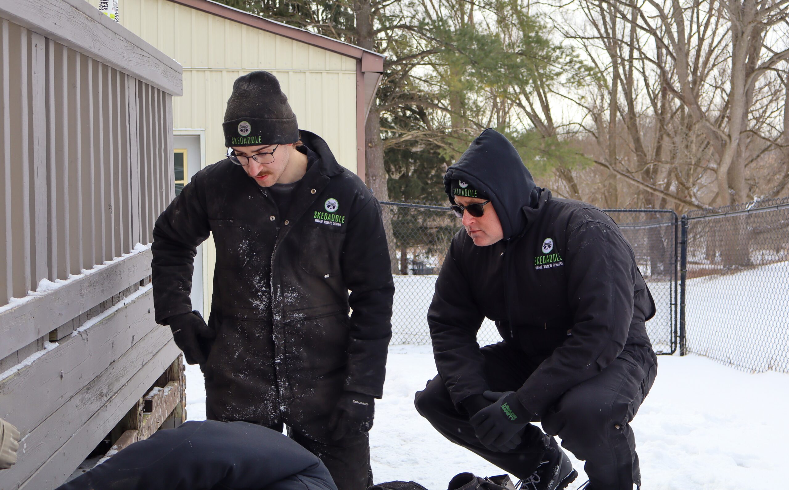 How to Protect Your Home From Wildlife During Winter