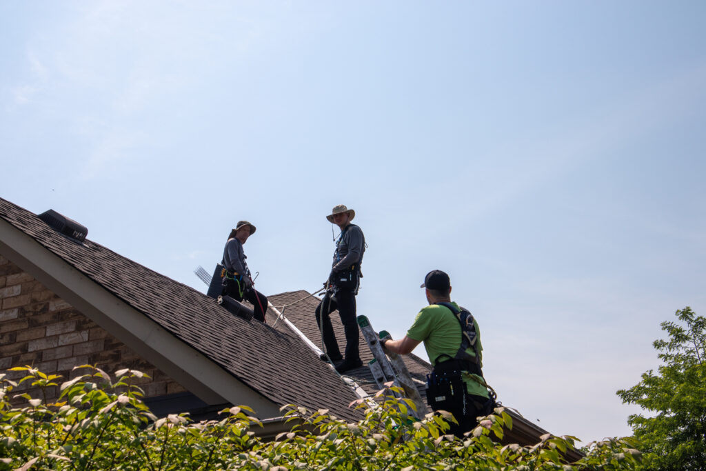 Skedaddle Marietta Wildlife Removal Execution Skedaddle Marietta Wildlife Removal Execution