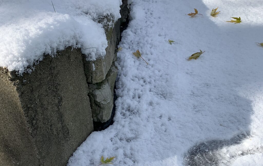 Small rodent tracks in fresh snow leading alongside a stone retaining wall. Small rodent tracks in fresh snow leading alongside a stone retaining wall.