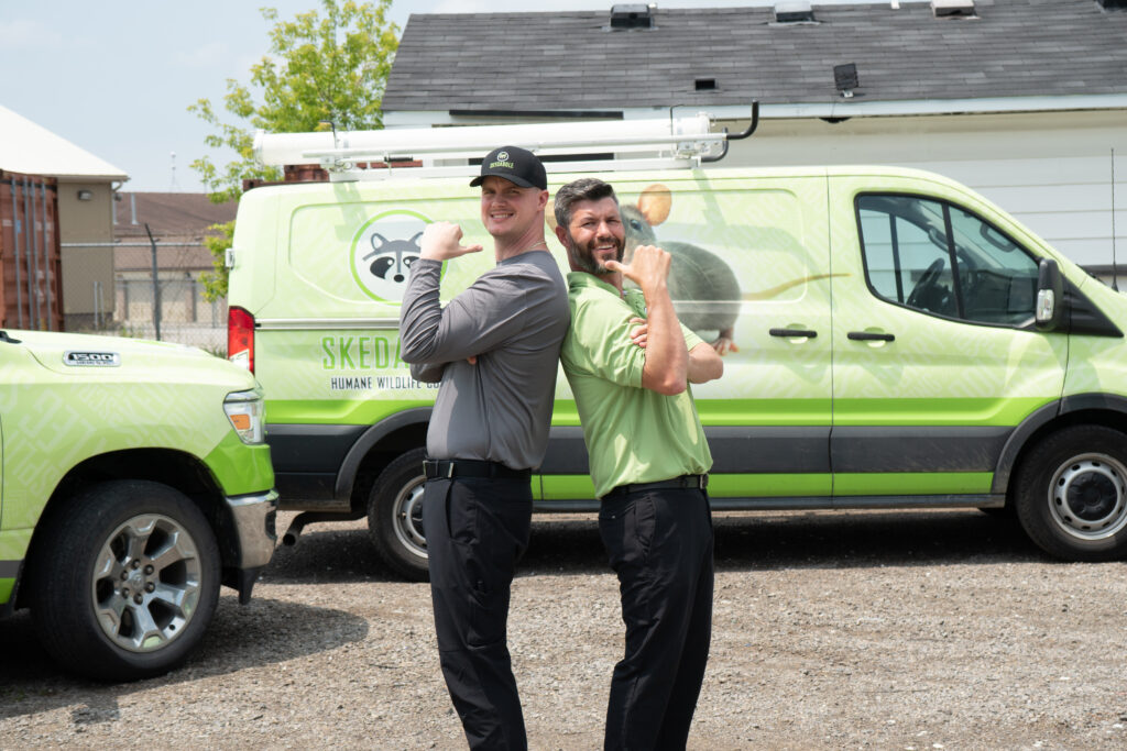 Skedaddle Brookhaven Technicians