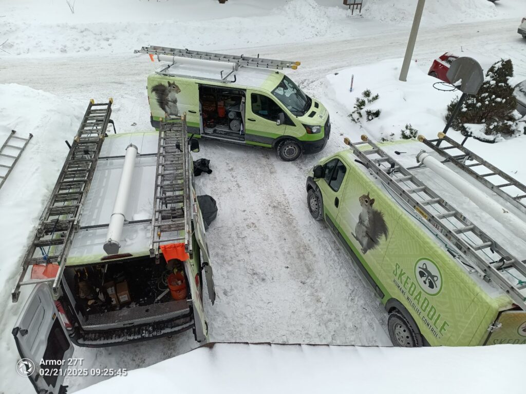 Skedaddle Pittsburgh Truck