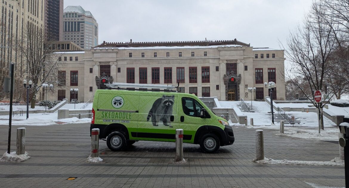 A bright green Skedaddle Humane Wildlife Control service van with a raccoon graphic parked in front of the snow-covered Columbus City Hall building in Ohio.