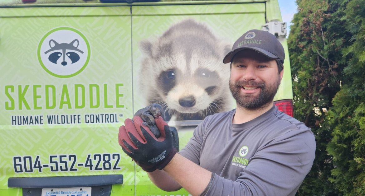 Skedaddle’s Proven Strategy for Long Term Squirrel Prevention