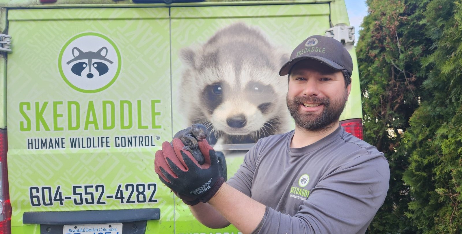 Skedaddle’s Proven Strategy for Long Term Squirrel Prevention