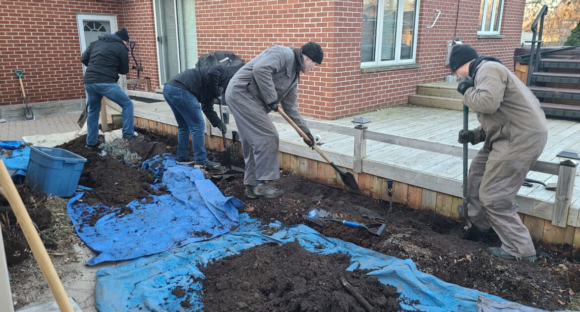 Skunks Under the Porch