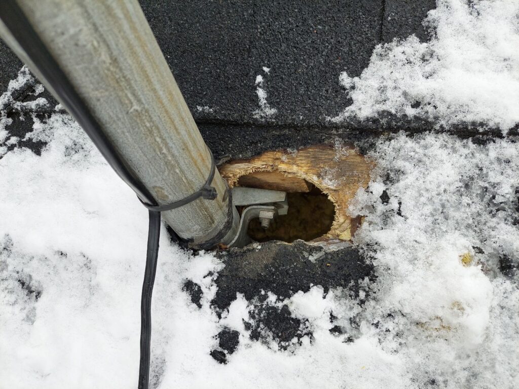 Squirrel Damage Hydro Mast Roof Entry Close-up of a large hole chewed by squirrels in roof shingles and plywood at the base of an electrical hydro mast.