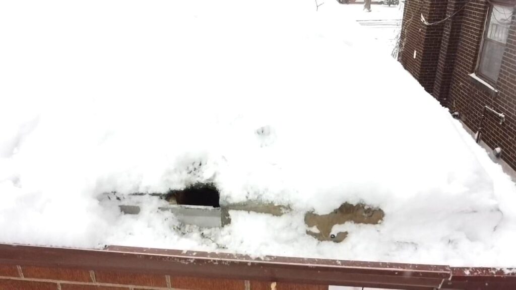 Squirrel Entry Point at Roof Line During the Winter