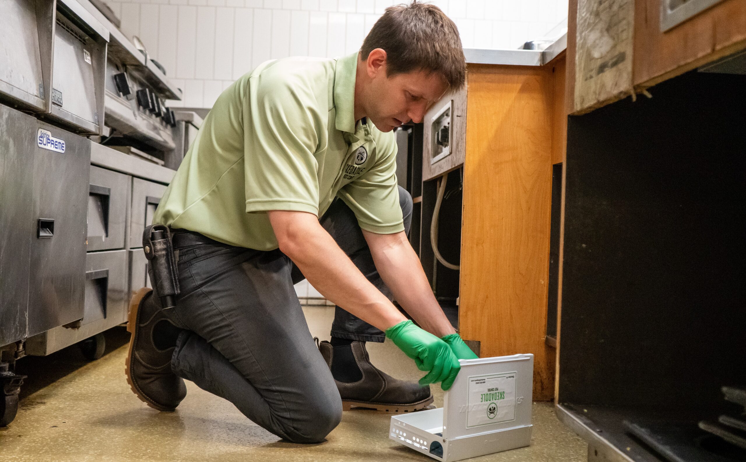 Why Businesses Experience More Wildlife Intrusions During Winter Closures