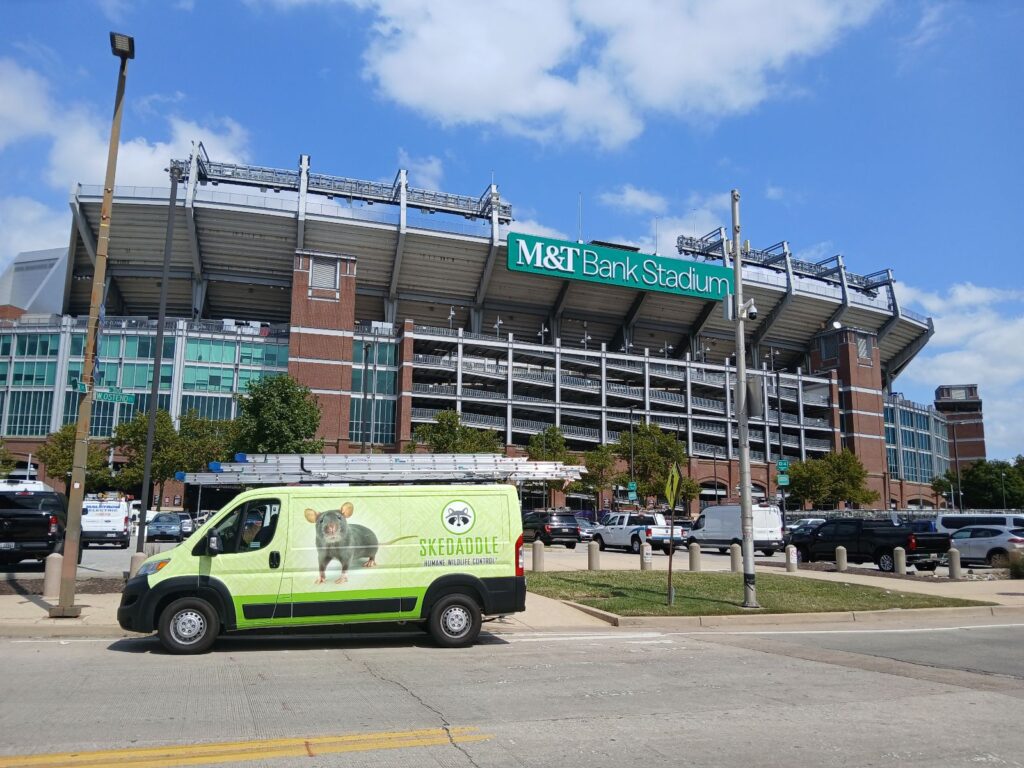 Van in Front of M&T Bank Stadium in Baltimore