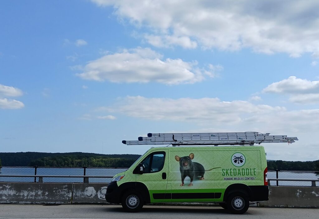 Truck by the Water Baltimore Truck by the Water Baltimore