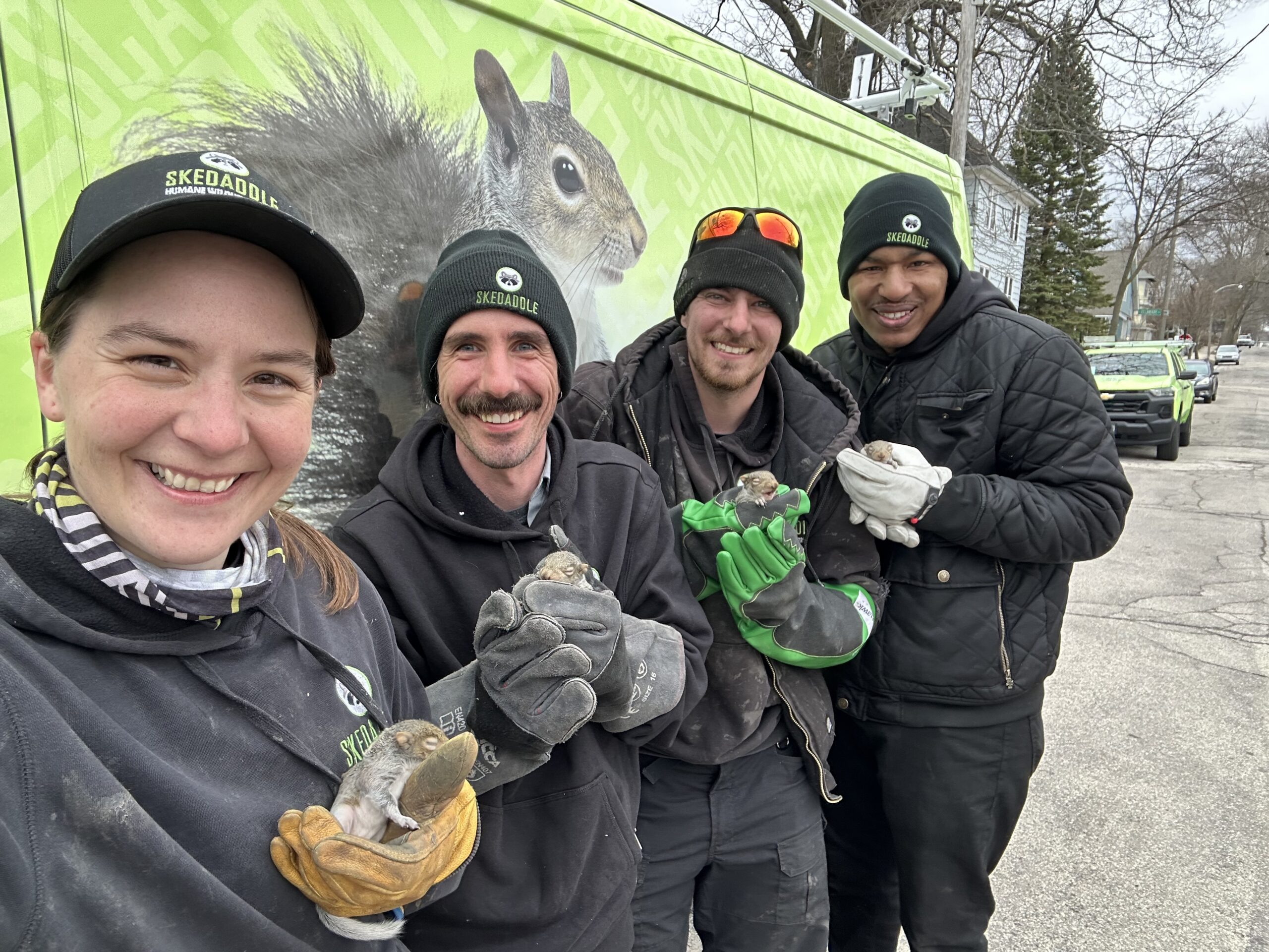 A group of four smiling Skedaddle technicians holding tiny, rescued baby squirrels in gloved hands in front of a service van.