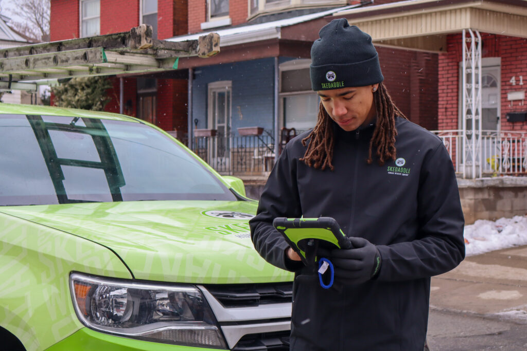 A Skedaddle technician in a green branded shirt gently holding a tiny, sleeping baby raccoon kit in gloved hands during a humane wildlife removal.