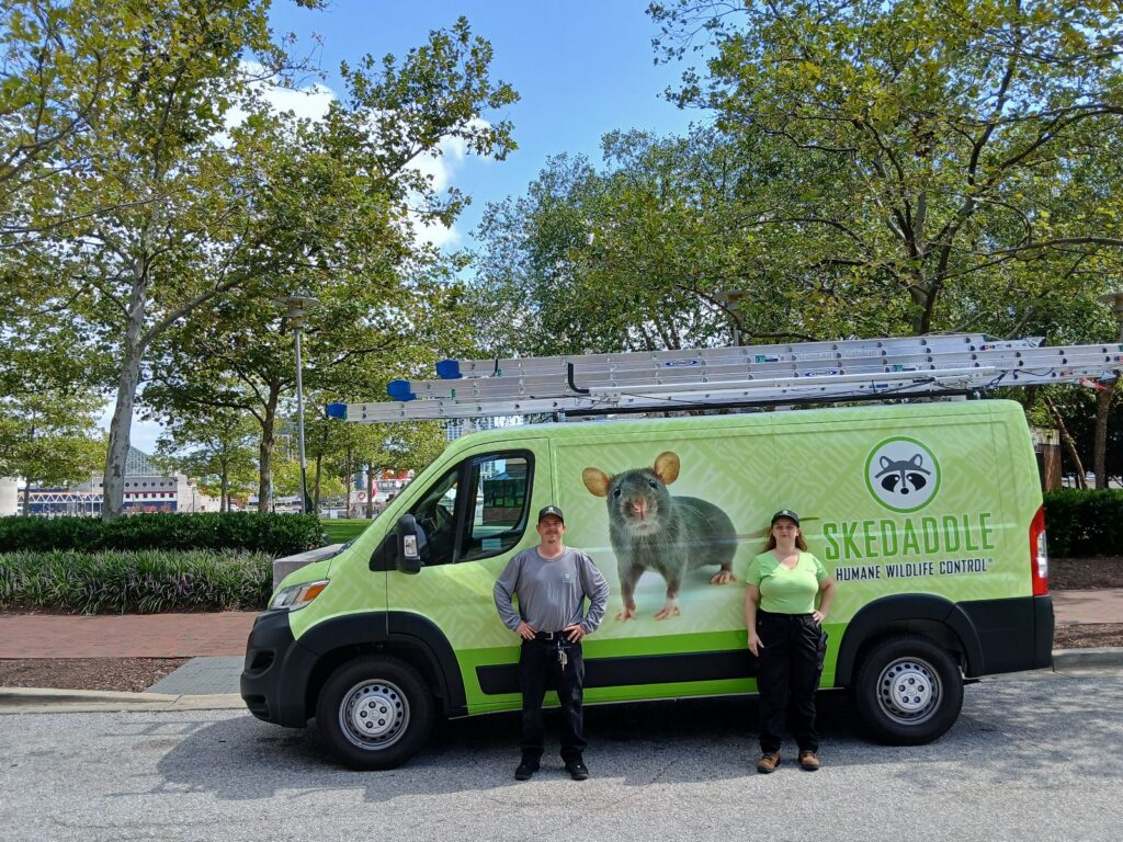 Two wildlife technicians, a man and a woman, standing in front of a green Skedaddle service van featuring a large mouse graphic.