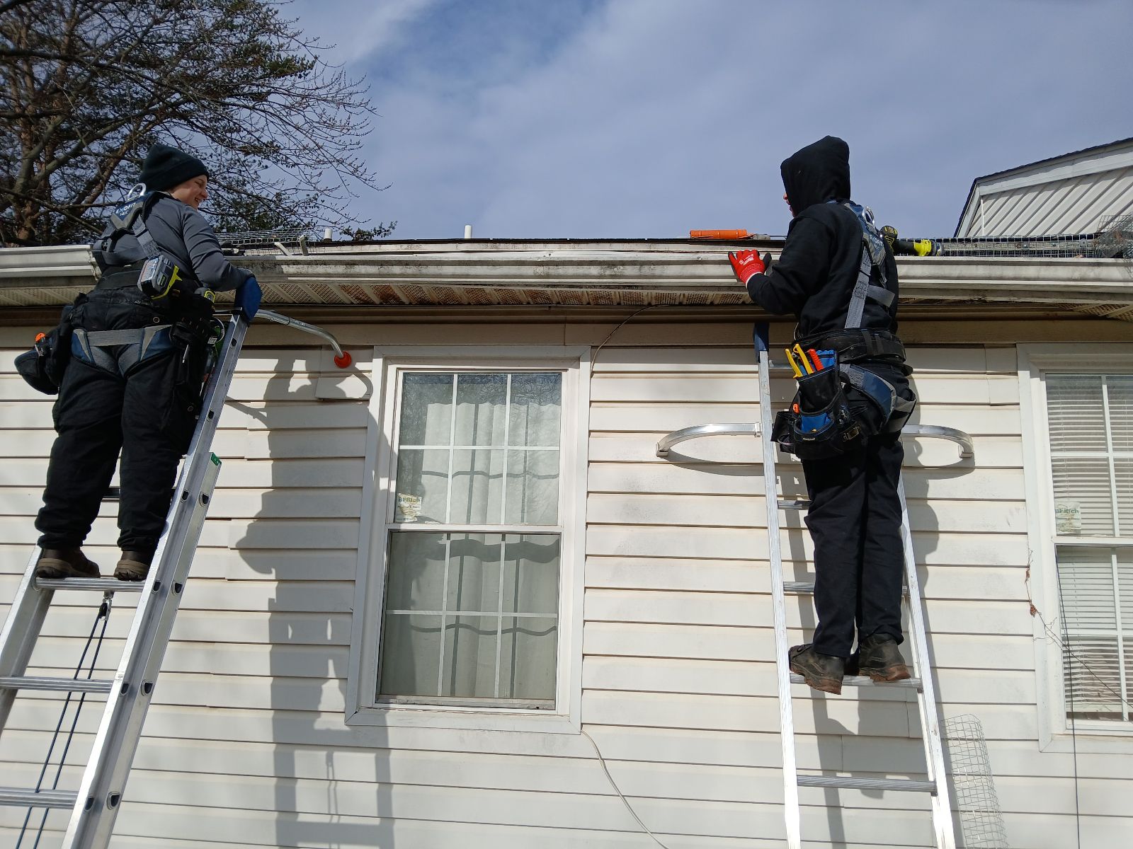Two wildlife technicians in safety harnesses on ladders installing mesh screening along a home's roofline.