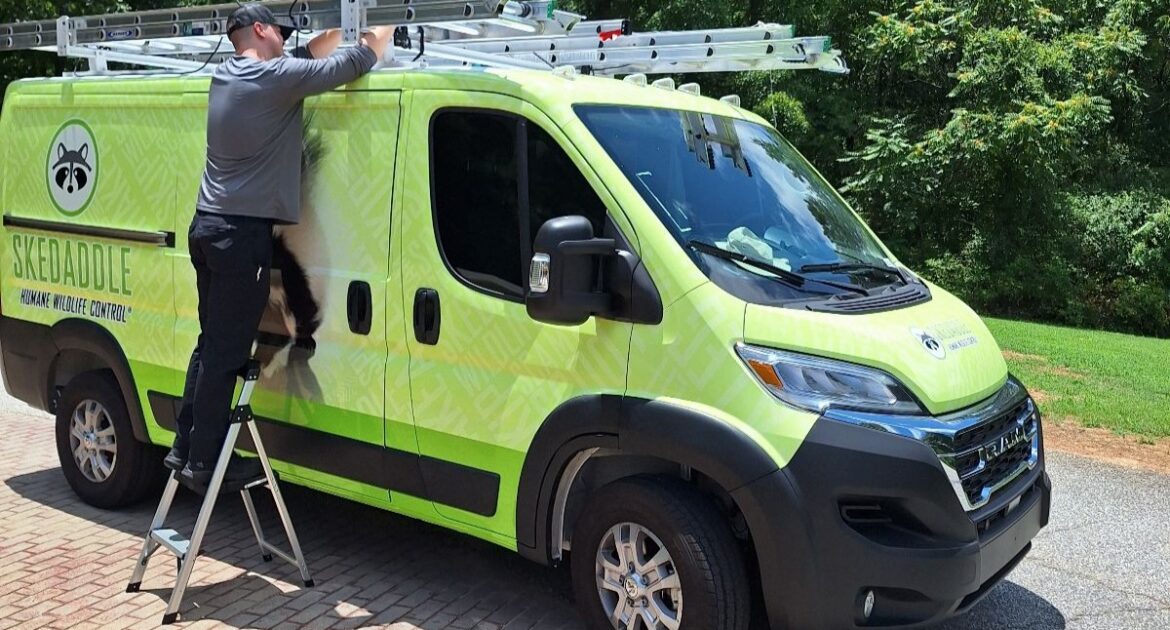 A Skedaddle Humane Wildlife Control technician standing on a step ladder next to a branded lime green service van, adjusting ladders on the roof rack.