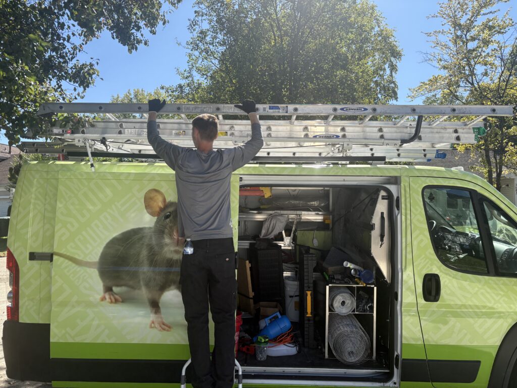 A Skedaddle Humane Wildlife Control technician standing on a step stool to reach a ladder on top of a lime green service van filled with exclusion tools.