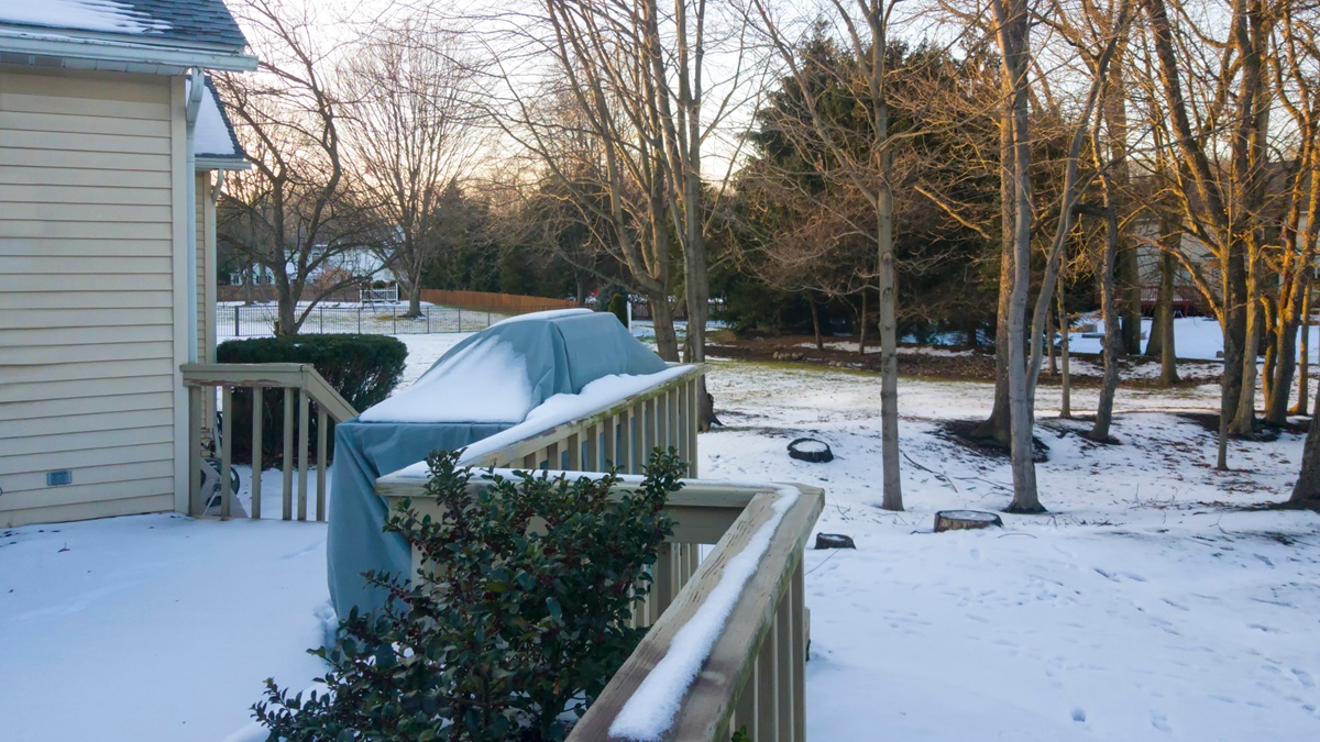 What To Do If You See A Rat In Your Yard This Winter