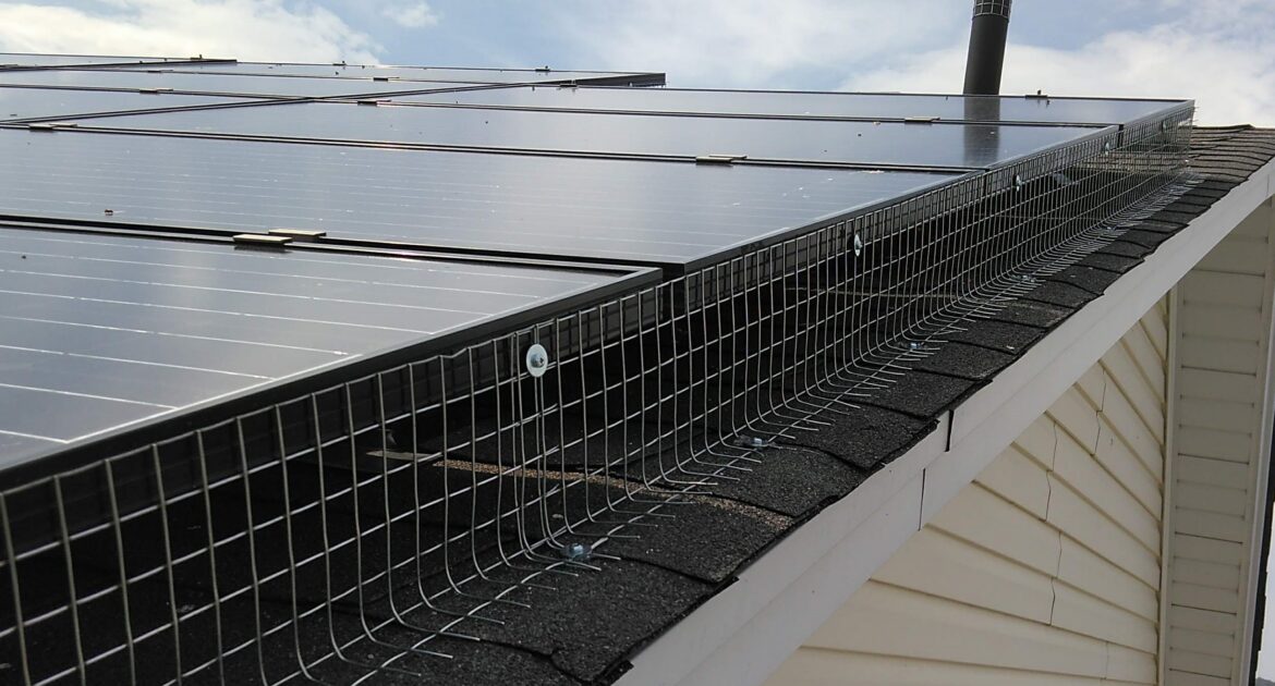 A protective galvanized steel mesh screen installed along the edge of solar panels on a shingled roof to prevent birds from nesting underneath.