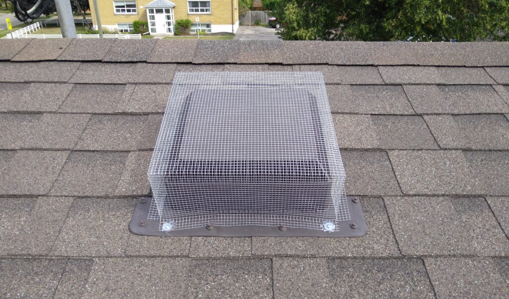 A black plastic roof vent completely covered and secured with galvanized steel wire mesh on a shingle roof.