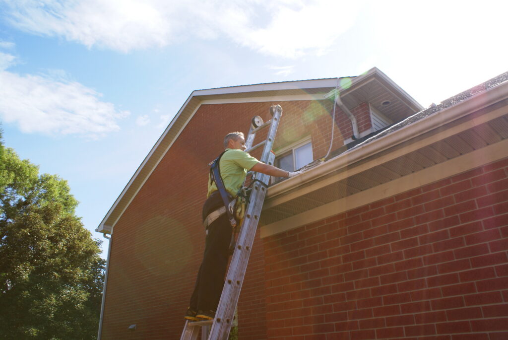 A wildlife control technician wearing a safety harness and fall protection gear while climbing a ladder to reach the gutters and roofline of a brick house.