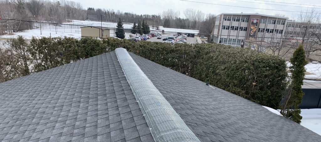 Professional Ridge Vent Screening for Squirrel Prevention in London A close-up view of a residential shingle roof in Ottawa featuring a galvanized steel mesh screen installed over the ridge vent to prevent squirrels and birds from entering the attic.
