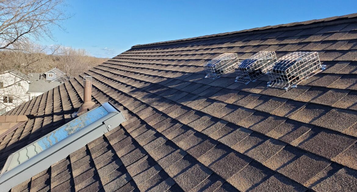 Three roof vents secured with heavy-duty metal mesh wildlife screens on a brown shingled roof under a clear blue sky.