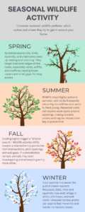 An infographic titled "Seasonal Wildlife Activity" showing how birds, squirrels, and raccoons target homes in Spring, Summer, Fall, and Winter.