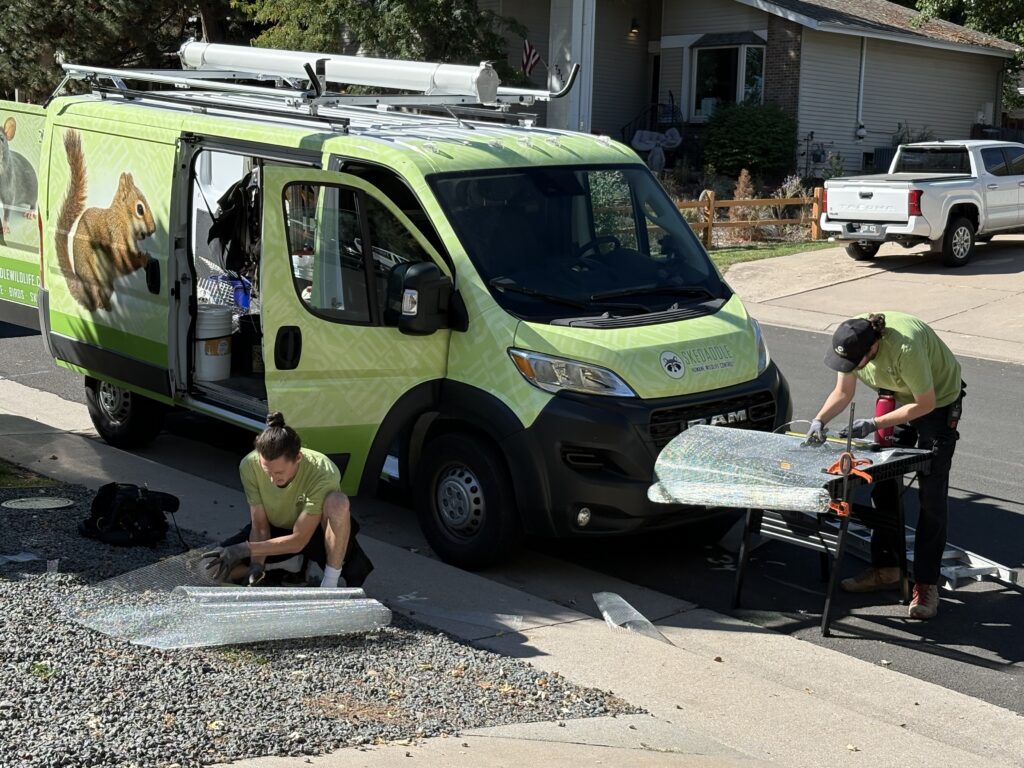 wo Skedaddle technicians in green uniforms using a tall extension ladder to install protective screening on a high residential roofline.