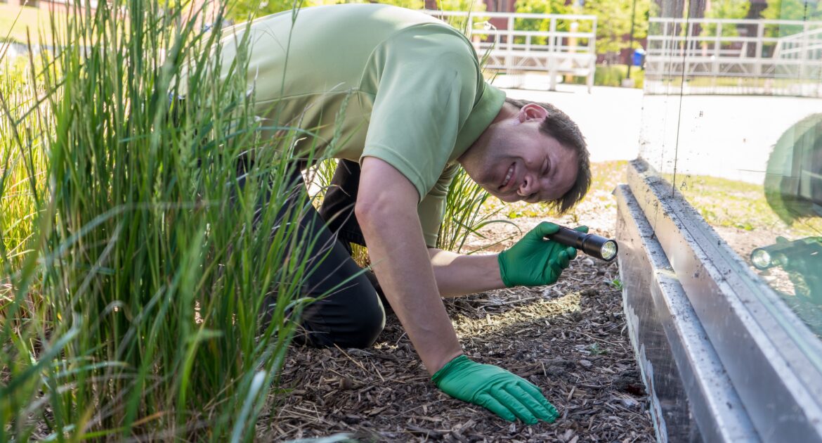 A Skedaddle Humane Wildlife Control technician wearing green gloves and a green polo shirt kneels on mulch to inspect a building's foundation using a flashlight.