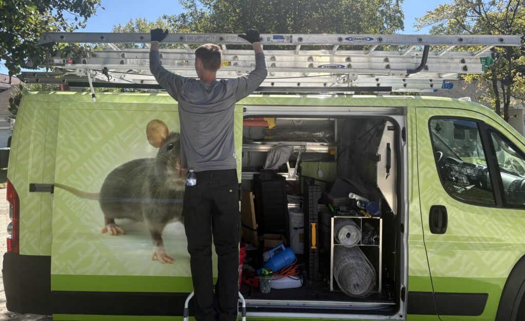 A Skedaddle technician standing on a step ladder to access extension ladders mounted on top of a bright green branded service van.