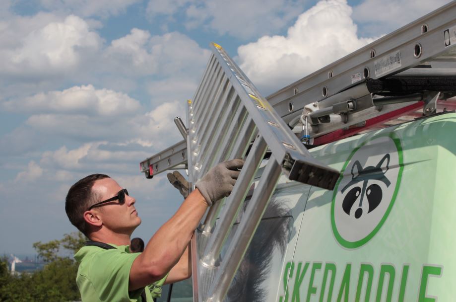 A Skedaddle technician in a lime green shirt and sunglasses unloading a professional extension ladder from a branded service truck.