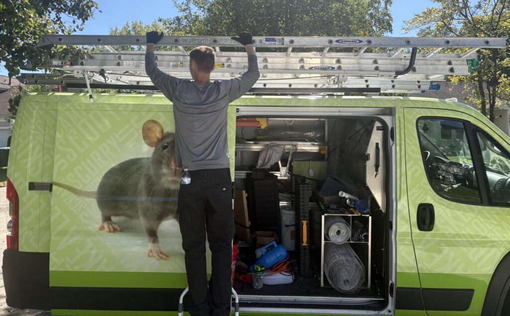 A Skedaddle wildlife technician standing on a step stool while organizing ladders and heavy-duty wire mesh exclusion materials inside a branded green service van featuring a large mouse graphic.