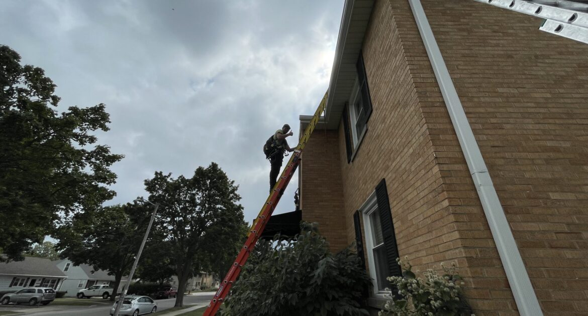 A Skedaddle technician in a safety harness climbing a tall extension ladder to inspect a brick house's roofline for wildlife entry points.