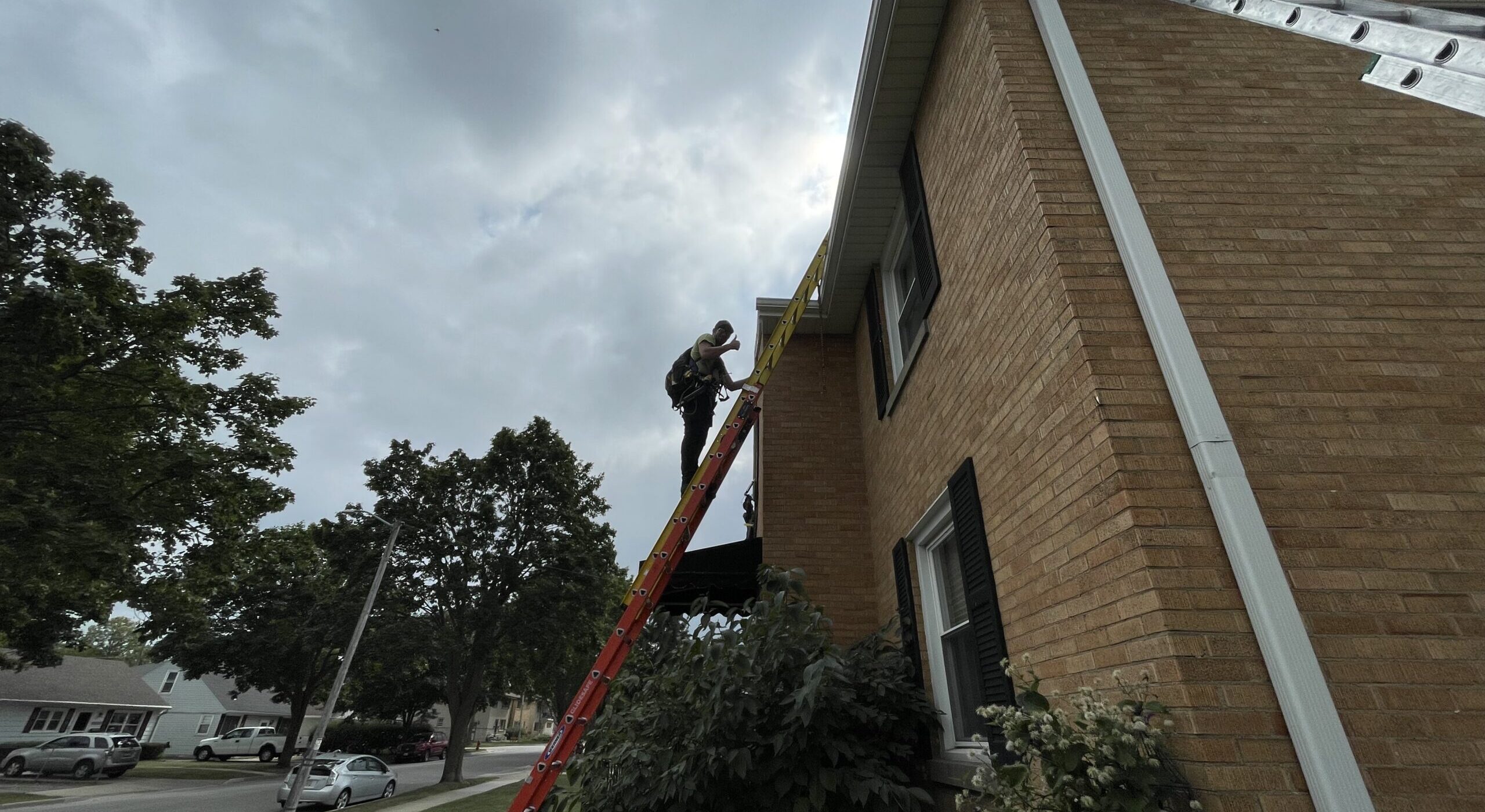 A Skedaddle technician in a safety harness climbing a tall extension ladder to inspect a brick house's roofline for wildlife entry points.