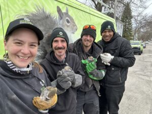 A team of four smiling Skedaddle wildlife technicians in branded gear standing outside by a service van, each safely holding a rescued baby squirrel in protective gloves.