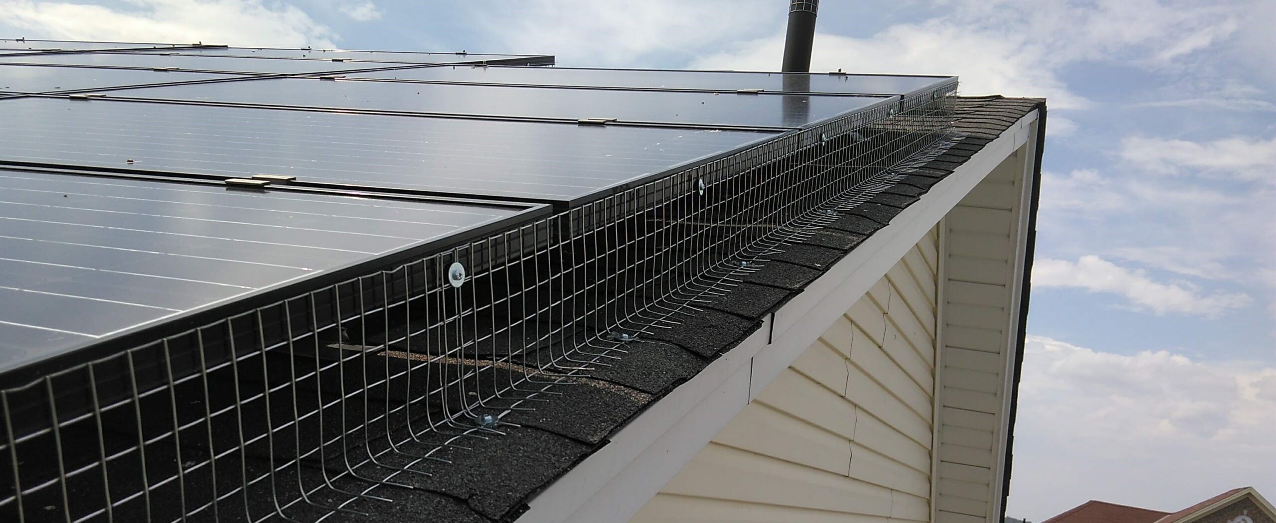 Bird Exclusion on the Roof