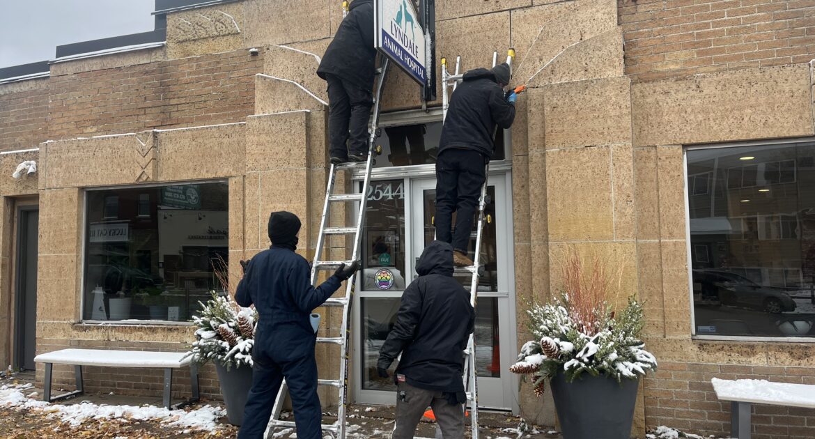 Four wildlife technicians on ladders performing exclusion work on the exterior of a brick animal hospital building during winter.