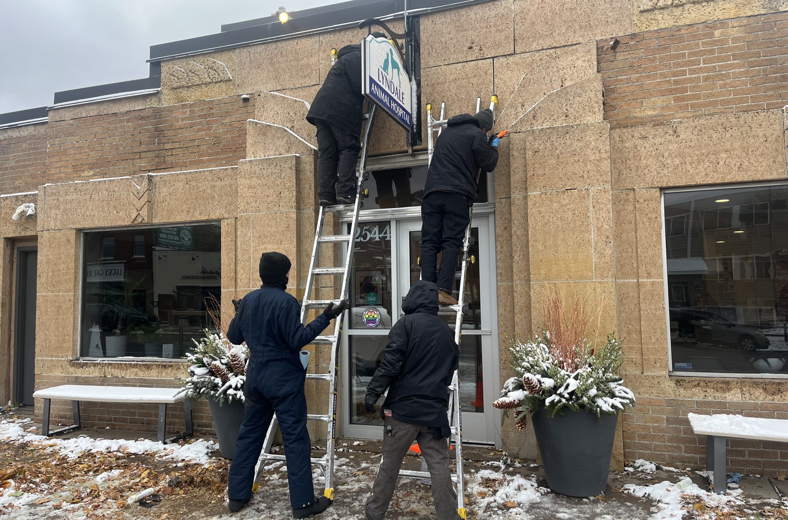 Four wildlife technicians on ladders performing exclusion work on the exterior of a brick animal hospital building during winter.