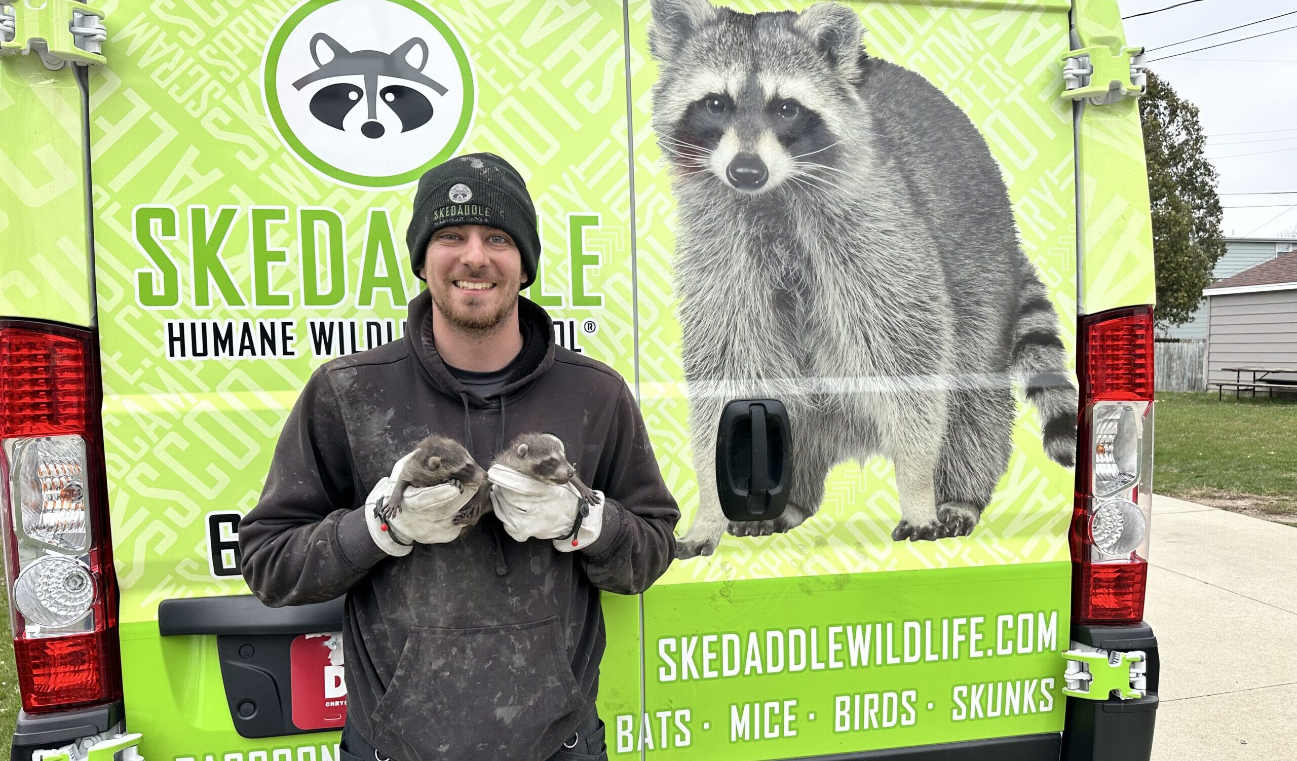 A smiling Skedaddle technician wearing white gloves gently holding two baby raccoons in front of a bright green branded service van.