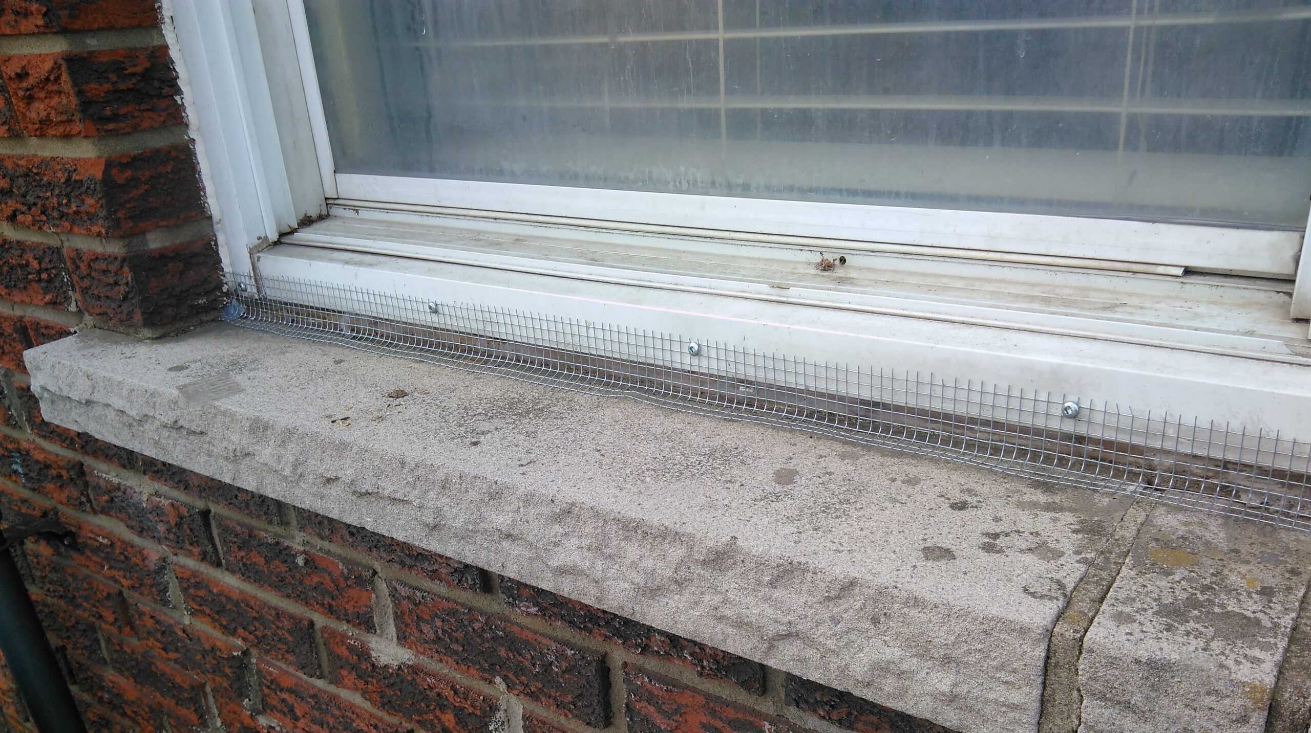 Mouse Exclusion Around the Window of a Home