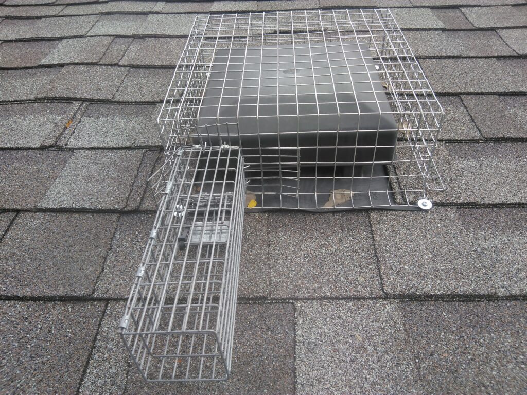 A damaged plastic roof vent alongside a Skedaddle technician installing a heavy-duty, wildlife-proof galvanized steel screen cover.