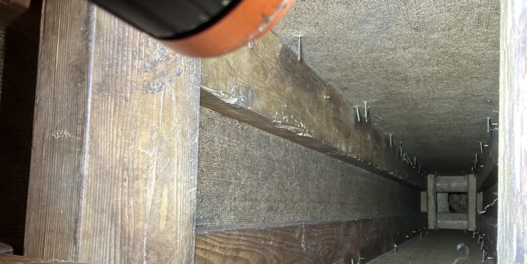 Interior view of a narrow attic space showing visible scratch marks from wildlife on wooden support beams and protruding roofing nails.