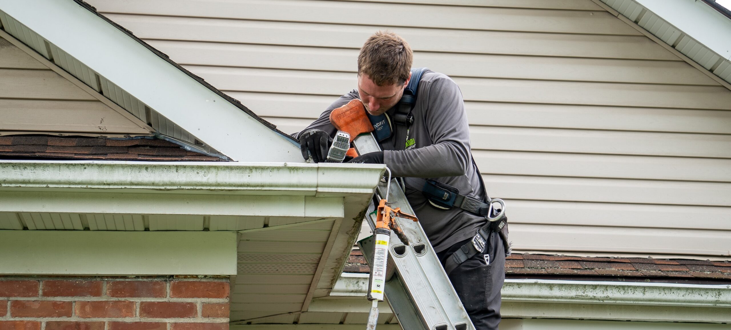 A Skedaddle technician in a grey long-sleeve shirt and safety harness uses a ladder to inspect a home's roofline and gutters for wildlife entry points.