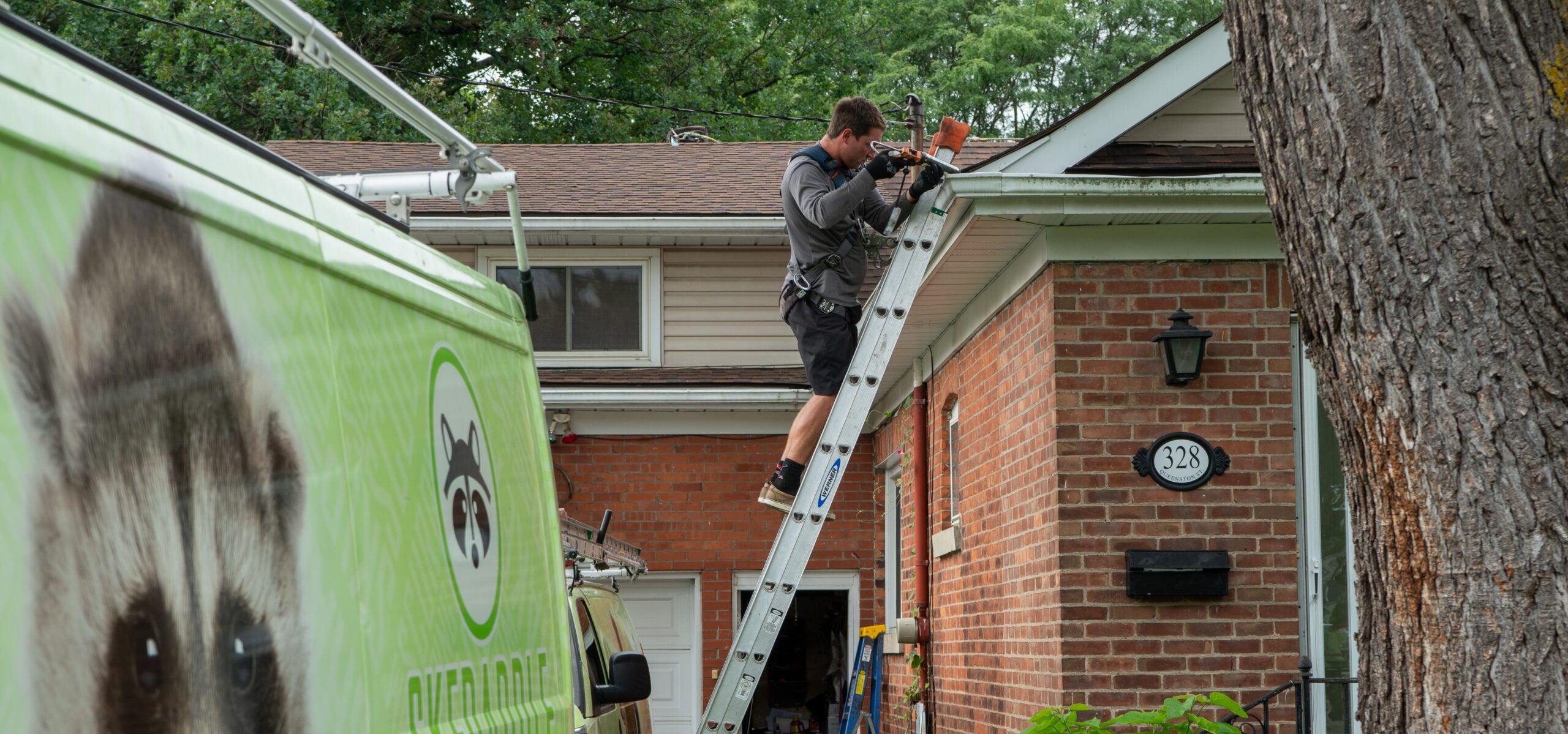 Wildlife Control Technician Installing Roof Protection A wildlife control professional on a ladder installing protective screening on the eaves of a brick house.