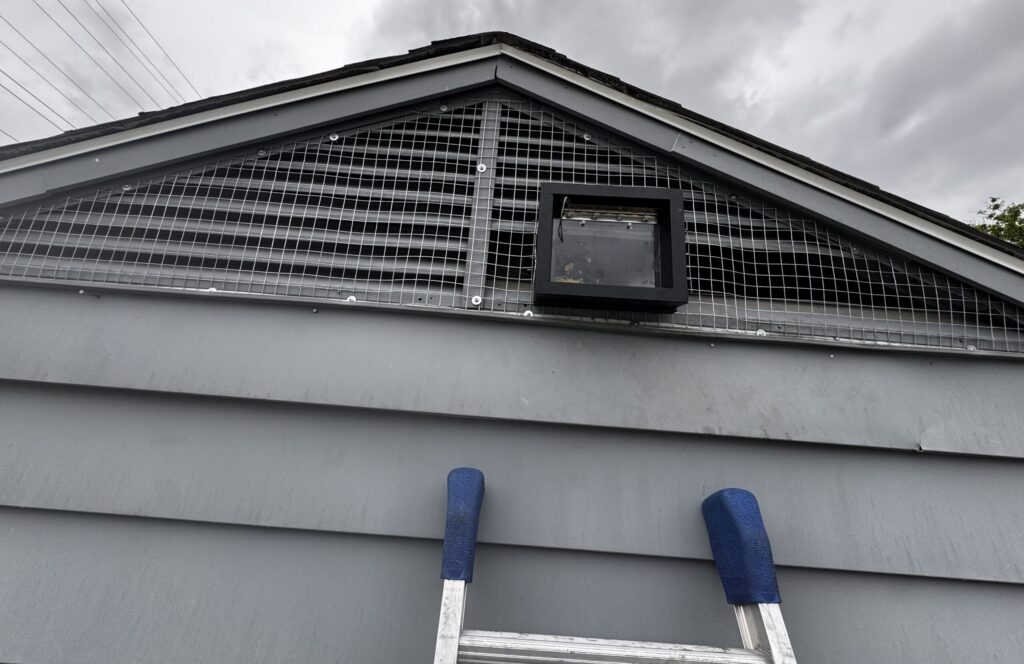 A grey gable vent reinforced with heavy-duty galvanized steel mesh and a black one-way wildlife exit door.