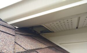 A close-up view of a house exterior where the white gutter and soffit meet a brown shingled roof, revealing a dark rectangular opening at the intersection.