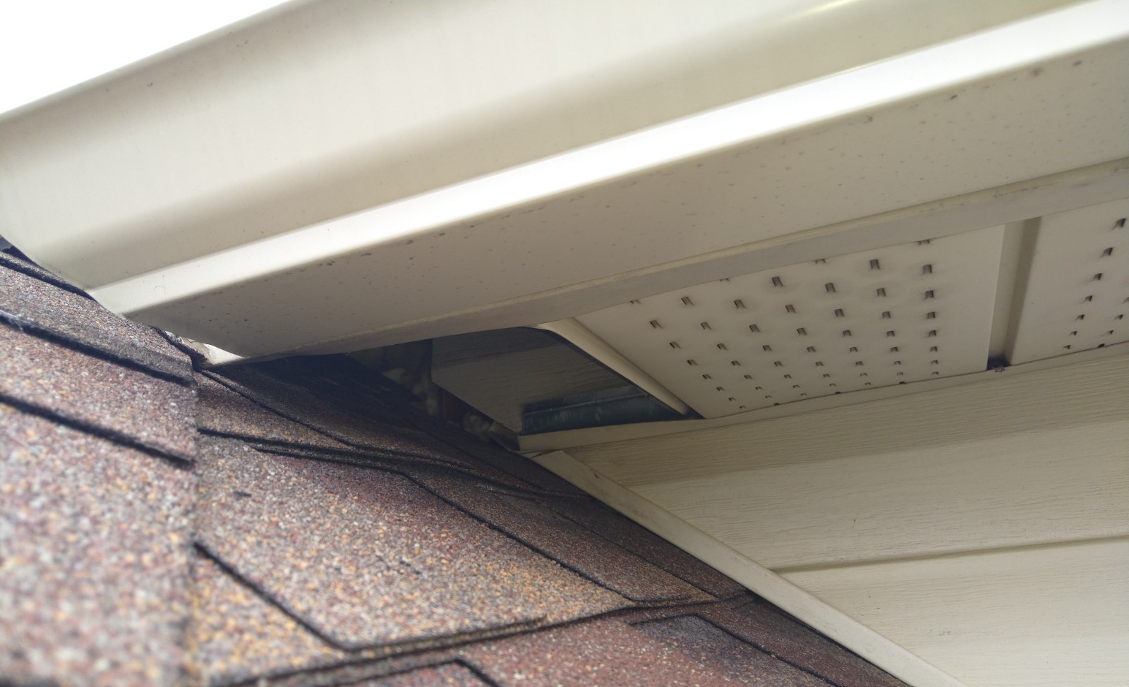 A close-up view of a house exterior where the white gutter and soffit meet a brown shingled roof, revealing a dark rectangular opening at the intersection.