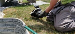 A Skedaddle wildlife technician wearing a heavy protective glove gently holding a small skunk on a grassy lawn near a stone-patterned window well.